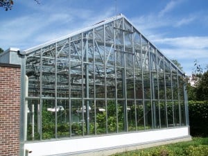 York U Greenhouse